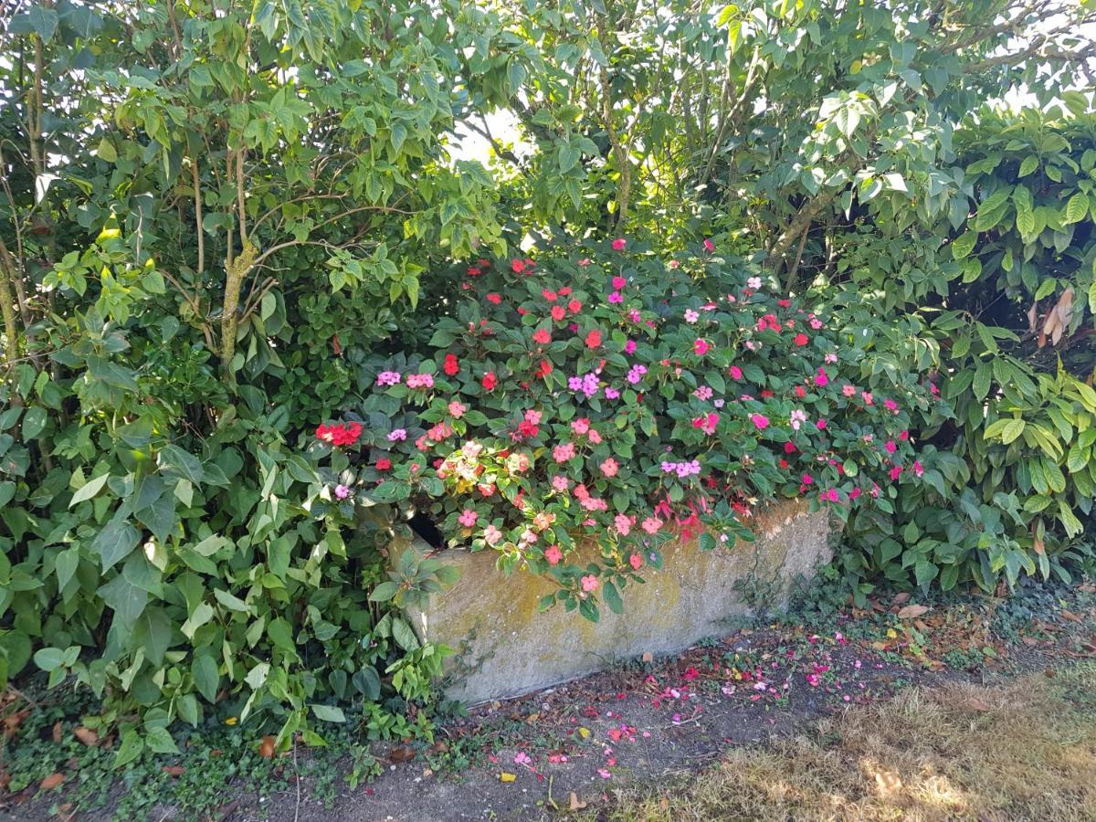 A La Campagne ,Halte ,Sejour Et Detente Moncontour (Vienne) Exterior foto